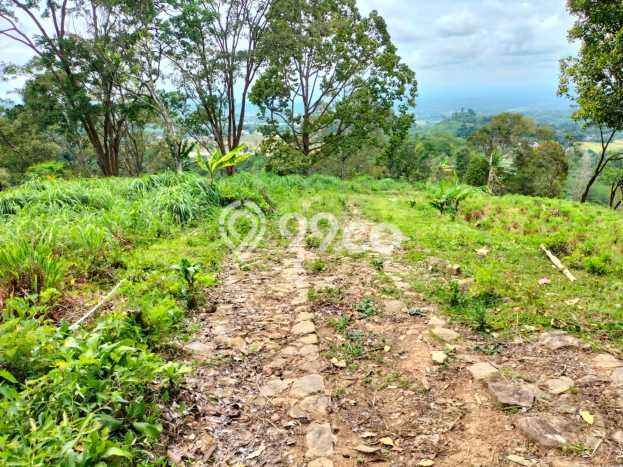 Tanah Dijual Lokasi Karanganyar, Karanganyar Luas 72000m2 Legalitas Aman Tanah Dijual Lokasi Karanganyar, Karanganyar Luas 72000m2 Legalitas Aman