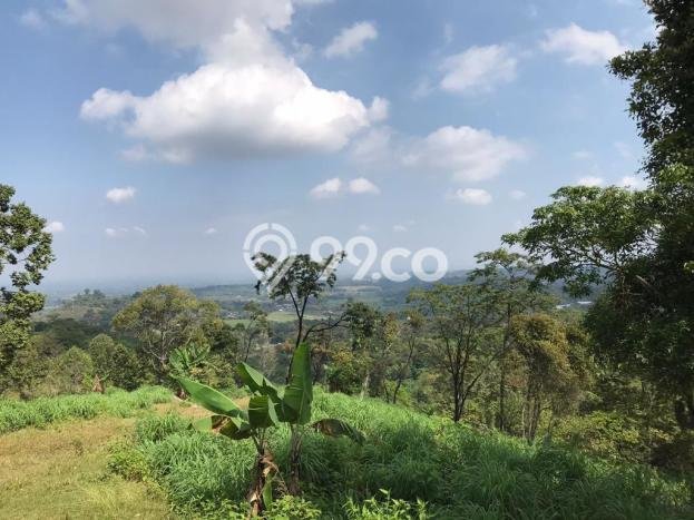 Tanah Dijual Lokasi Karanganyar, Karanganyar Luas 72000m2 Legalitas Aman Tanah Dijual Lokasi Karanganyar, Karanganyar Luas 72000m2 Legalitas Aman
