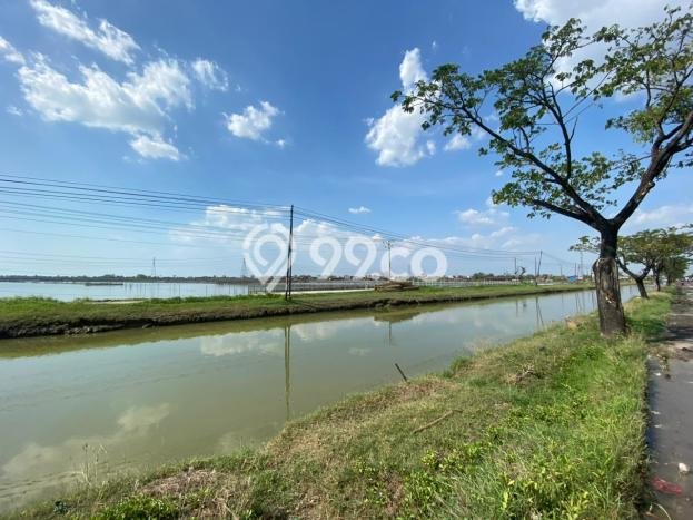 Tanah Kosong Dijual di Demak dengan Area 100000m2 Tanah Kosong Dijual di Demak dengan Area 100000m2