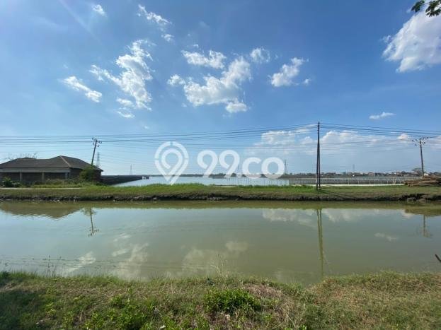 Tanah Kosong Dijual di Demak dengan Area 100000m2 Tanah Kosong Dijual di Demak dengan Area 100000m2
