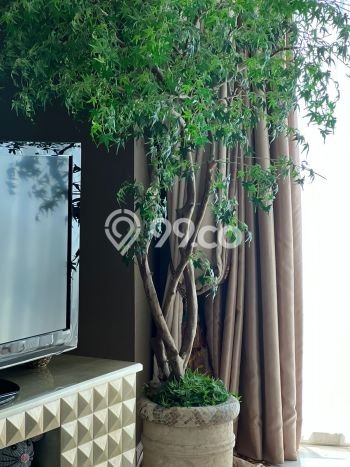 Apartemen Luxury Dijual di Jakarta Utara Lokasi Strategis Punya 3 Kamar Tidur Apartemen Luxury Dijual di Jakarta Utara Lokasi Strategis Punya 3 Kamar Tidur