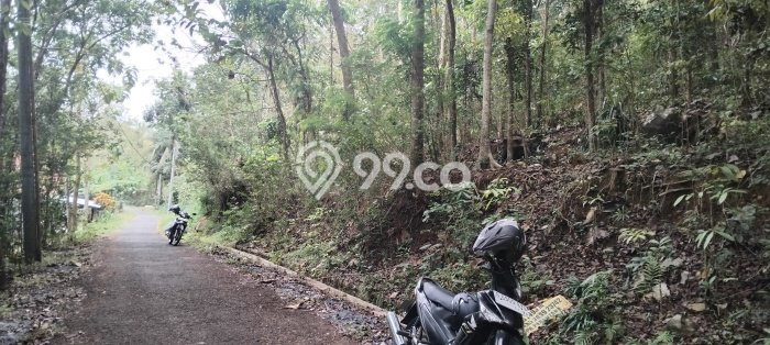 Tanah untuk Dijual Lokasi Girimulyo, Kulon Progo Luas 2970m2 SHM Tanah untuk Dijual Lokasi Girimulyo, Kulon Progo Luas 2970m2 SHM