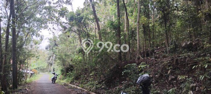 Tanah untuk Dijual Lokasi Girimulyo, Kulon Progo Luas 2970m2 SHM Tanah untuk Dijual Lokasi Girimulyo, Kulon Progo Luas 2970m2 SHM