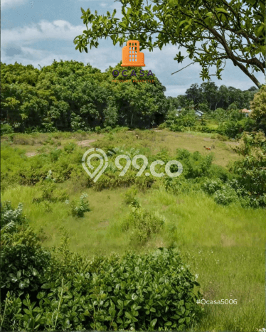 Tanah Dijual Area Strategis di Kutuh Badung 9700m2 Tanah Dijual Area Strategis di Kutuh Badung 9700m2
