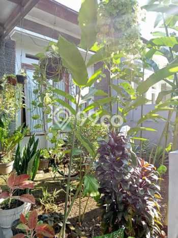 Jual Rumah Modern 4 KT di Buah Batu, Bandung Jual Rumah Modern 4 KT di Buah Batu, Bandung