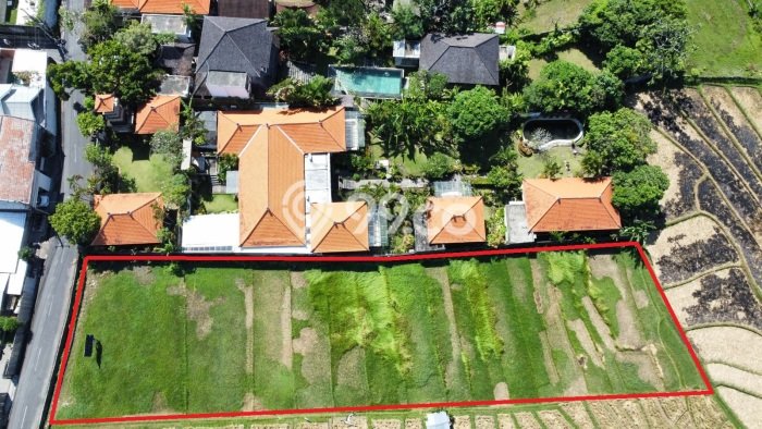 Kavling Tanah untuk Dijual di Umalas, Badung, Luas 2000m2 Kavling Tanah untuk Dijual di Umalas, Badung, Luas 2000m2