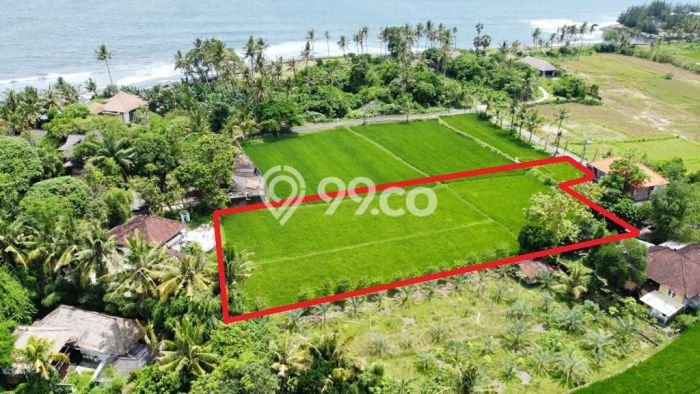 Tanah di Ketewel, Luas 2885m², Area Berkembang Tanah di Ketewel, Luas 2885m², Area Berkembang
