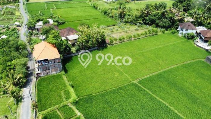 Tanah di Ketewel, Luas 2885m², Area Berkembang Tanah di Ketewel, Luas 2885m², Area Berkembang