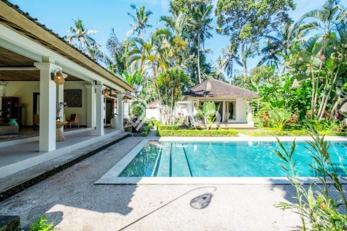 Dijual Rumah Premium dengan Fasilitas Sekitar Lengkap di Ubud, Gianyar Dijual Rumah Premium dengan Fasilitas Sekitar Lengkap di Ubud, Gianyar