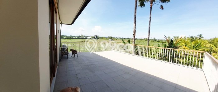 Rumah Luxury Modern Siap Huni di canggu Badung Rumah Luxury Modern Siap Huni di canggu Badung