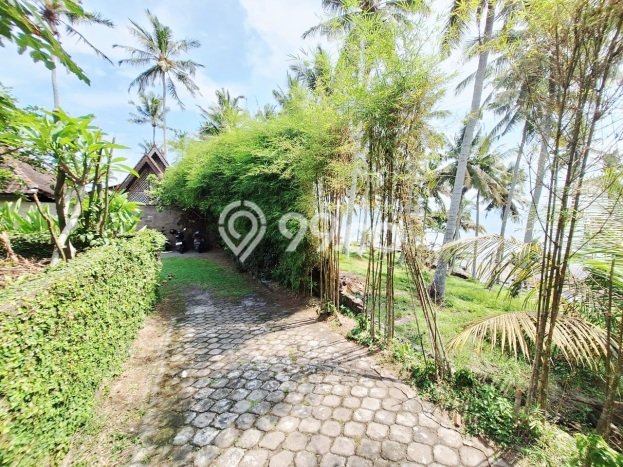 Rumah Luxury Modern Tanpa Renovasi di Antap Tabanan Rumah Luxury Modern Tanpa Renovasi di Antap Tabanan