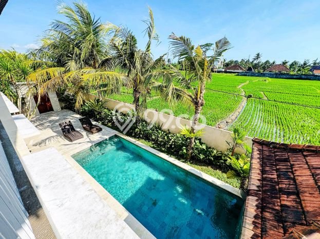 Rumah Luxury Modern Siap Huni di canggu Badung Rumah Luxury Modern Siap Huni di canggu Badung