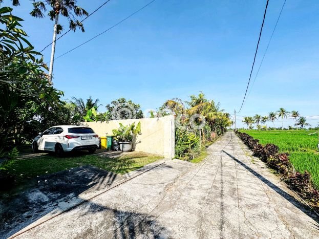 Rumah Luxury Modern Siap Huni di canggu Badung Rumah Luxury Modern Siap Huni di canggu Badung