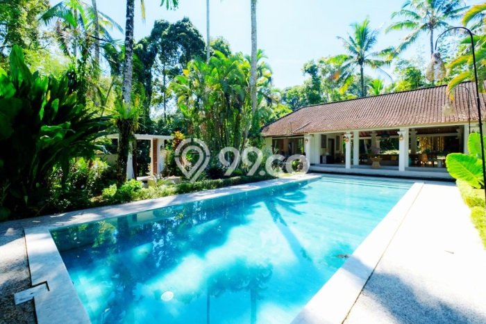 Dijual Rumah Premium dengan Fasilitas Sekitar Lengkap di Ubud, Gianyar Dijual Rumah Premium dengan Fasilitas Sekitar Lengkap di Ubud, Gianyar