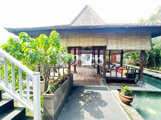 Hunian Elit LB 420m2 Siap Pakai Desain Elegan di Canggu, Badung Hunian Elit LB 420m2 Siap Pakai Desain Elegan di Canggu, Badung