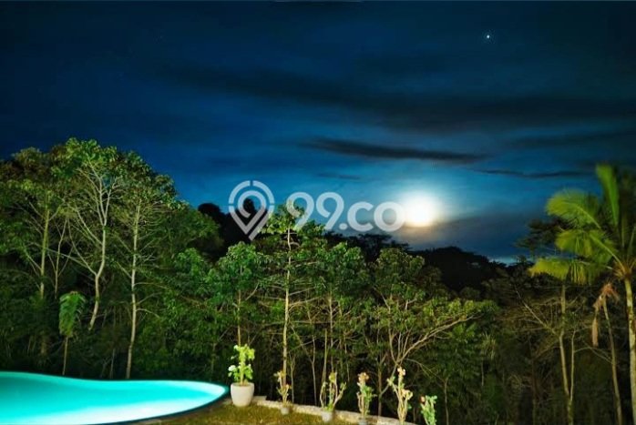 Dijual Rumah Mewah Exclusive di Ubud, Gianyar Dijual Rumah Mewah Exclusive di Ubud, Gianyar