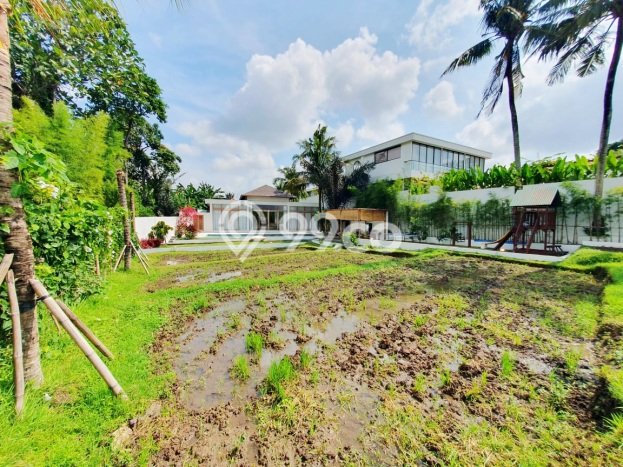 Rumah Luxury Modern Siap Huni di Canggu Badung Rumah Luxury Modern Siap Huni di Canggu Badung