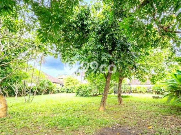 HARGA MENARIK! Vila di , Luas 1467m2m², Lingkungan Asri dan nyaman HARGA MENARIK! Vila di , Luas 1467m2m², Lingkungan Asri dan nyaman