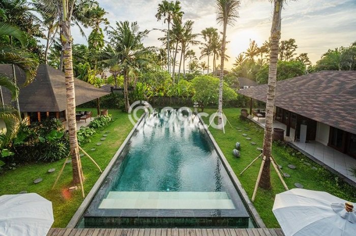 Ready to Use! Premium House LT 1488m2 Desain Modern di Canggu Ready to Use! Premium House LT 1488m2 Desain Modern di Canggu