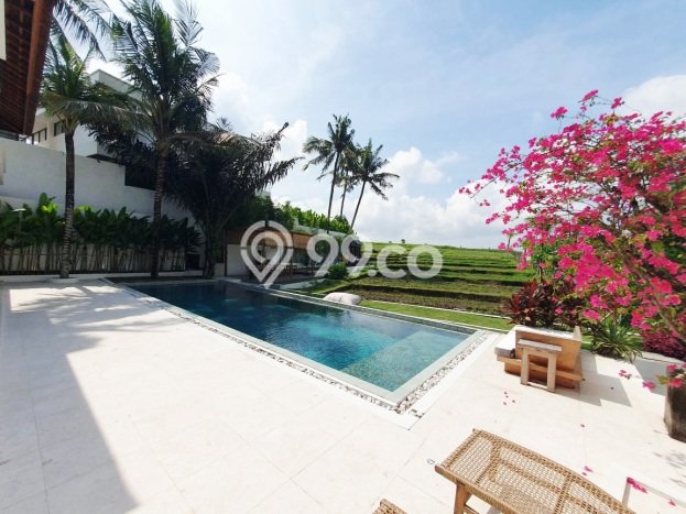Rumah Luxury Modern Siap Huni di Canggu Badung Rumah Luxury Modern Siap Huni di Canggu Badung