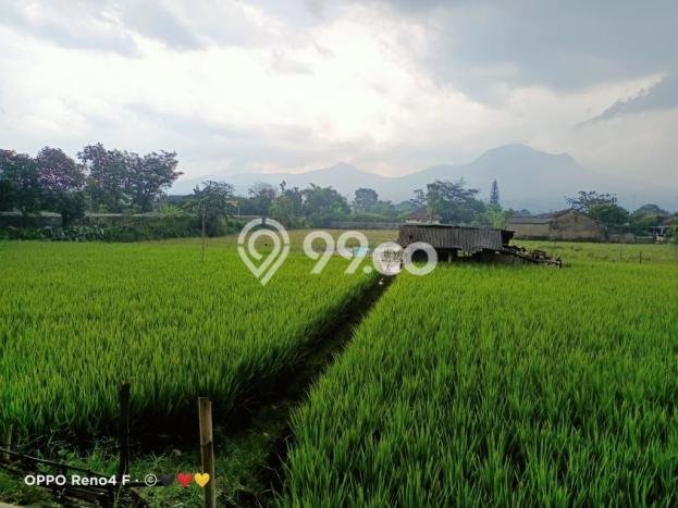 Lahan untuk Dijual di Cibiru Bandung Luas 7090m2 Lahan untuk Dijual di Cibiru Bandung Luas 7090m2