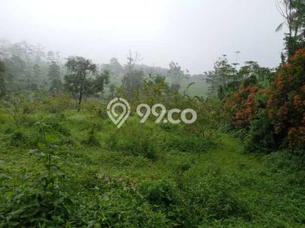 Tanah Siap Bangun Dijual di Bandung Punya Luas 11282m2 Tanah Siap Bangun Dijual di Bandung Punya Luas 11282m2