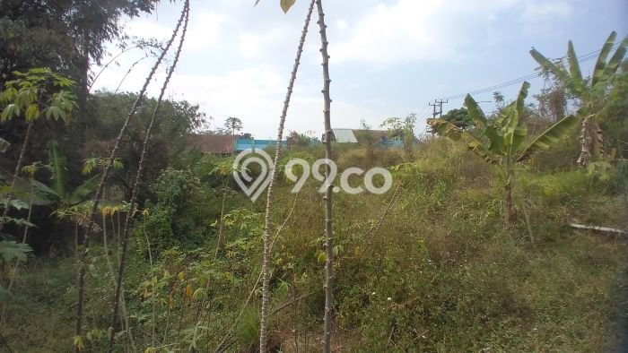 Tanah Dijual Lokasi Jatinangor, Sumedang Luas 1360m2 Legalitas Aman Tanah Dijual Lokasi Jatinangor, Sumedang Luas 1360m2 Legalitas Aman