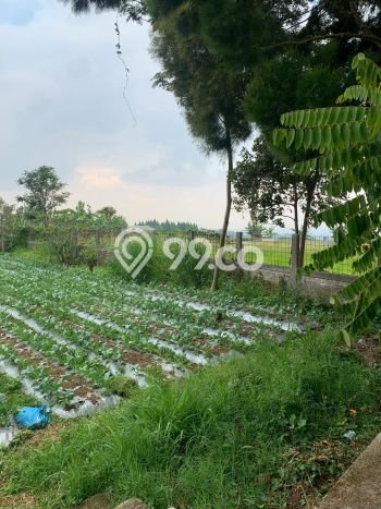 Hunian Elit LB 100m2 Siap Pakai Desain Elegan di Bandung Barat, Bandung Hunian Elit LB 100m2 Siap Pakai Desain Elegan di Bandung Barat, Bandung