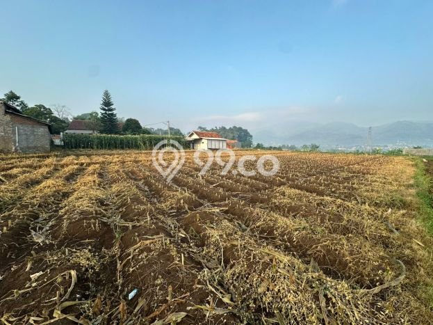 Lahan Kosong Dijual di Banjaran, Bandung, Luas 2359m2 Area Strategis Lahan Kosong Dijual di Banjaran, Bandung, Luas 2359m2 Area Strategis