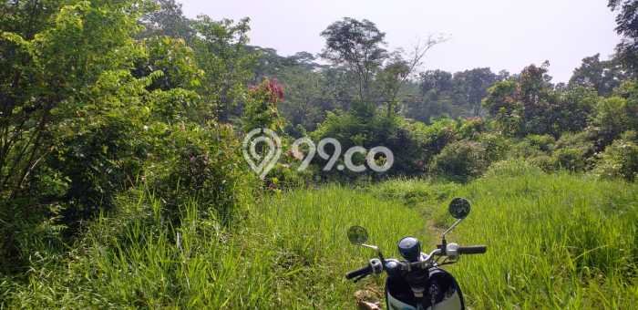 Tanah Dijual Lokasi Ciamis, Ciamis dengan Luas Tanah 400000m2 dan Status SHM Tanah Dijual Lokasi Ciamis, Ciamis dengan Luas Tanah 400000m2 dan Status SHM