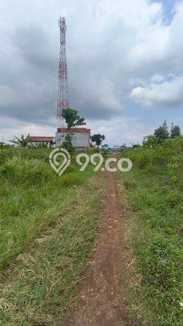 Jarang Ada! Tanah di Cileunyi Punya Luas 8000m2 SHM Jarang Ada! Tanah di Cileunyi Punya Luas 8000m2 SHM