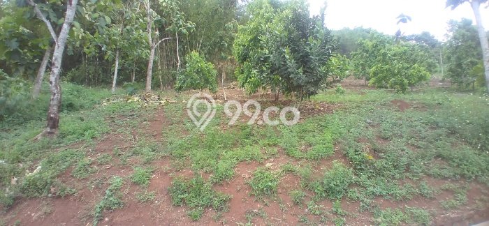 Untuk Dijual Tanah 50000m2 di Bl. Limbangan, Garut Untuk Dijual Tanah 50000m2 di Bl. Limbangan, Garut