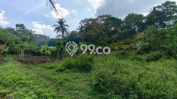 Tanah Dijual Lokasi Jatinangor, Sumedang Luas 139m2 Legalitas Aman Tanah Dijual Lokasi Jatinangor, Sumedang Luas 139m2 Legalitas Aman