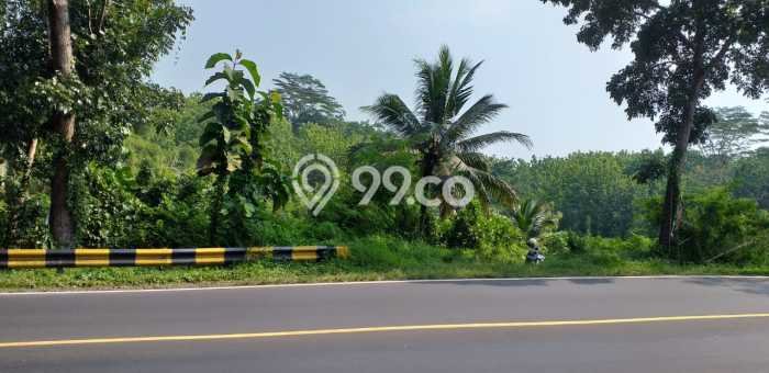 Tanah Dijual Lokasi Ciamis, Ciamis dengan Luas Tanah 400000m2 dan Status SHM Tanah Dijual Lokasi Ciamis, Ciamis dengan Luas Tanah 400000m2 dan Status SHM