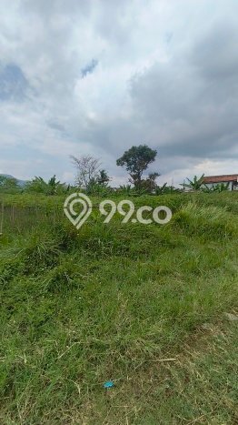Jarang Ada! Tanah di Cileunyi Punya Luas 8000m2 SHM Jarang Ada! Tanah di Cileunyi Punya Luas 8000m2 SHM