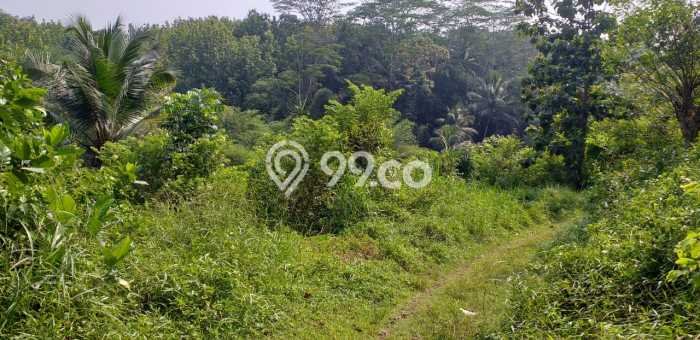 Tanah Dijual Lokasi Ciamis, Ciamis dengan Luas Tanah 400000m2 dan Status SHM Tanah Dijual Lokasi Ciamis, Ciamis dengan Luas Tanah 400000m2 dan Status SHM