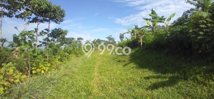 Tanah Kavling Dijual di Bandung Kota, Bandung dengan Luas Tanah 953m2 Tanah Kavling Dijual di Bandung Kota, Bandung dengan Luas Tanah 953m2