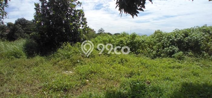 Tanah Dijual Lokasi Cileunyi, Bandung Luas 344m2 Legalitas Aman Tanah Dijual Lokasi Cileunyi, Bandung Luas 344m2 Legalitas Aman