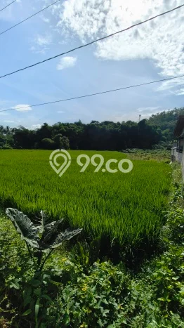 Tanah Siap Bangun Dijual di Garut Punya Luas 3017m2 Tanah Siap Bangun Dijual di Garut Punya Luas 3017m2