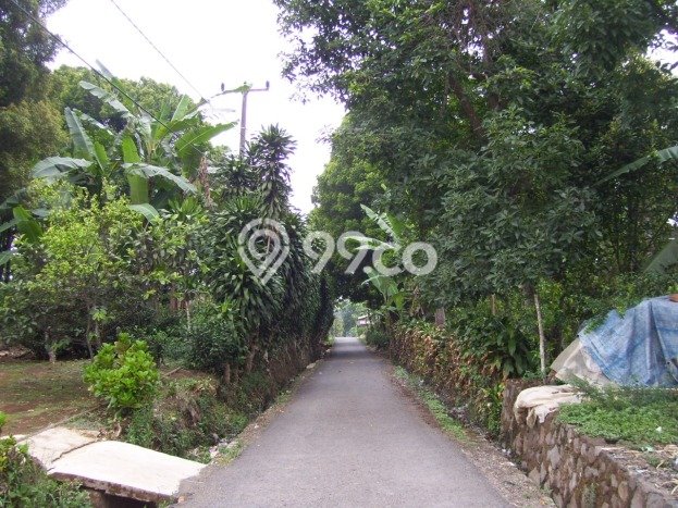 Kavling Tanah Dijual di Cianjur, Cianjur, Luas 50000m2 Area Strategis Kavling Tanah Dijual di Cianjur, Cianjur, Luas 50000m2 Area Strategis