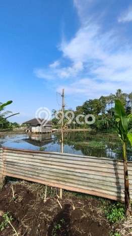 Tanah di Cileunyi, Bandung Luas 5320m2 Dijual Segera Tanah di Cileunyi, Bandung Luas 5320m2 Dijual Segera
