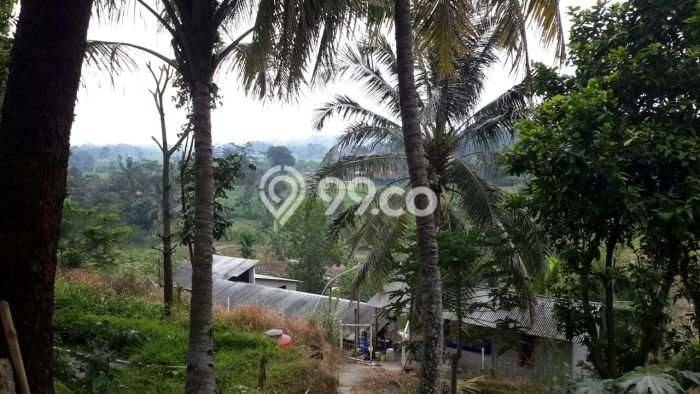 Kavling Tanah Dijual di Pamijahan, Bogor, Luas 15087m2 Area Strategis Kavling Tanah Dijual di Pamijahan, Bogor, Luas 15087m2 Area Strategis