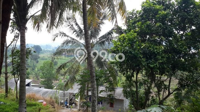 Kavling Tanah Dijual di Pamijahan, Bogor, Luas 15087m2 Area Strategis Kavling Tanah Dijual di Pamijahan, Bogor, Luas 15087m2 Area Strategis