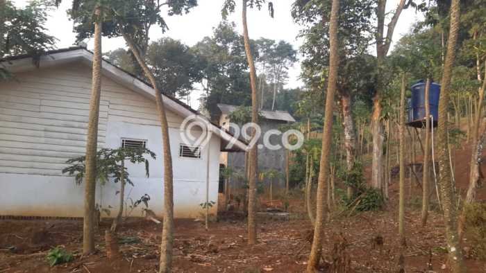 Tanah untuk Dijual Lokasi Waringinkurung, Serang Luas 15000m2 - Tanah untuk Dijual Lokasi Waringinkurung, Serang Luas 15000m2 -