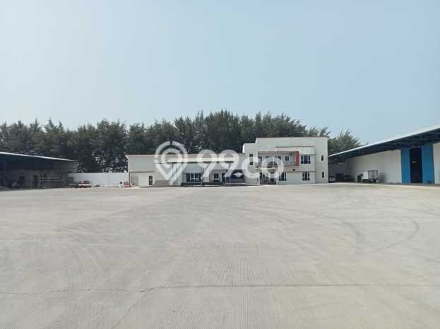 Pabrik Dijual Lokasi Stratagis di Tegal Barat Tegal Cocok untuk Investasi Pabrik Dijual Lokasi Stratagis di Tegal Barat Tegal Cocok untuk Investasi