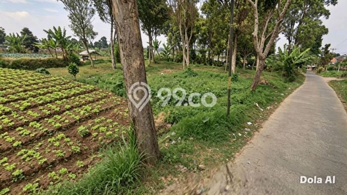 Tanah Kosong Dijual di Bandung Barat dengan Area 570m2 Tanah Kosong Dijual di Bandung Barat dengan Area 570m2