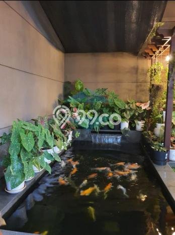 Rumah Elit Modern Tanpa Renovasi di Citraland Surabaya Rumah Elit Modern Tanpa Renovasi di Citraland Surabaya