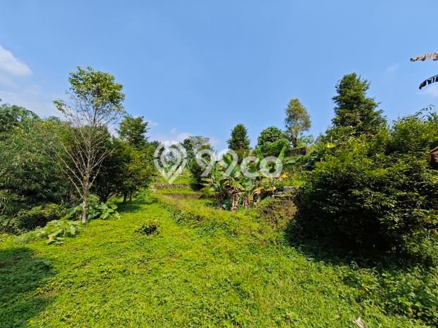 Dijual Tanah 8032m2 di Ciapus, Bogor Dijual Tanah 8032m2 di Ciapus, Bogor