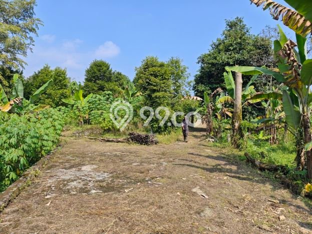 Dijual Tanah 8032m2 di Ciapus, Bogor Dijual Tanah 8032m2 di Ciapus, Bogor