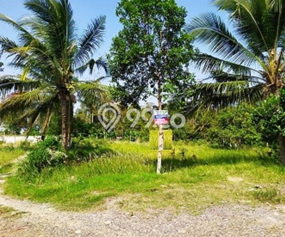 Tanah Dijual Lokasi Tanjung Karang Barat, Bandar Lampung Luas 19000m2 Legalitas Aman Tanah Dijual Lokasi Tanjung Karang Barat, Bandar Lampung Luas 19000m2 Legalitas Aman